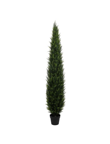 CYPRES NR 190 UV Resistant