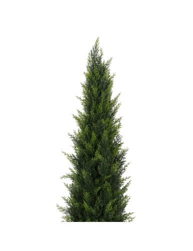 CYPRES NR 190 UV Resistant