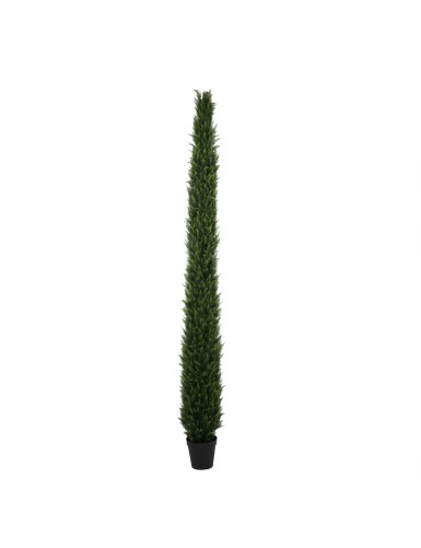 CYPRES NR 350 UV Resistant