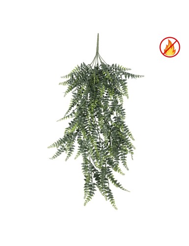 FOUGERE CHUTE  85 UV/FR –...
