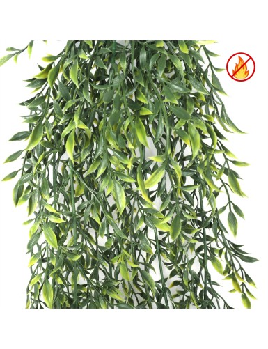 DISCHIDIA HANGING BUSH 85 UV/FR – UV Resistant / Fire Resistant