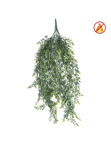 DISCHIDIA CHUTE 85 UV/FR –...