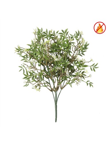 SUTERA CORDATA UV/FR – UV...