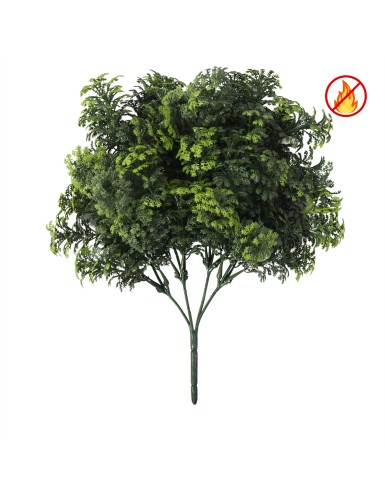 SELAGINELLA UV/FR –...