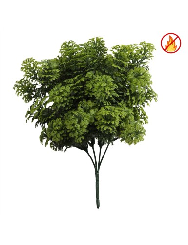 SELAGINELLE UV/FR – UV...