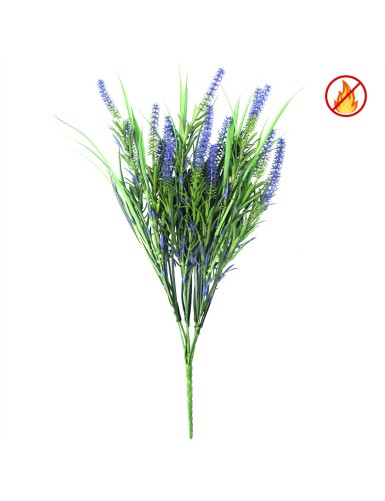 LAVANDE UV/FR – UV...