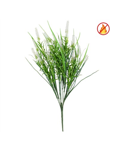 LAVANDE UV/FR – UV...