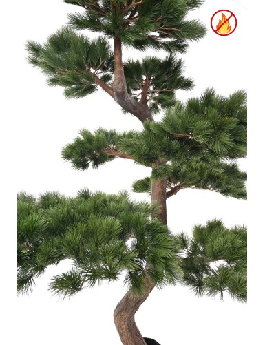 PIN SYLVESTRE 250 FR - Fire Resistant