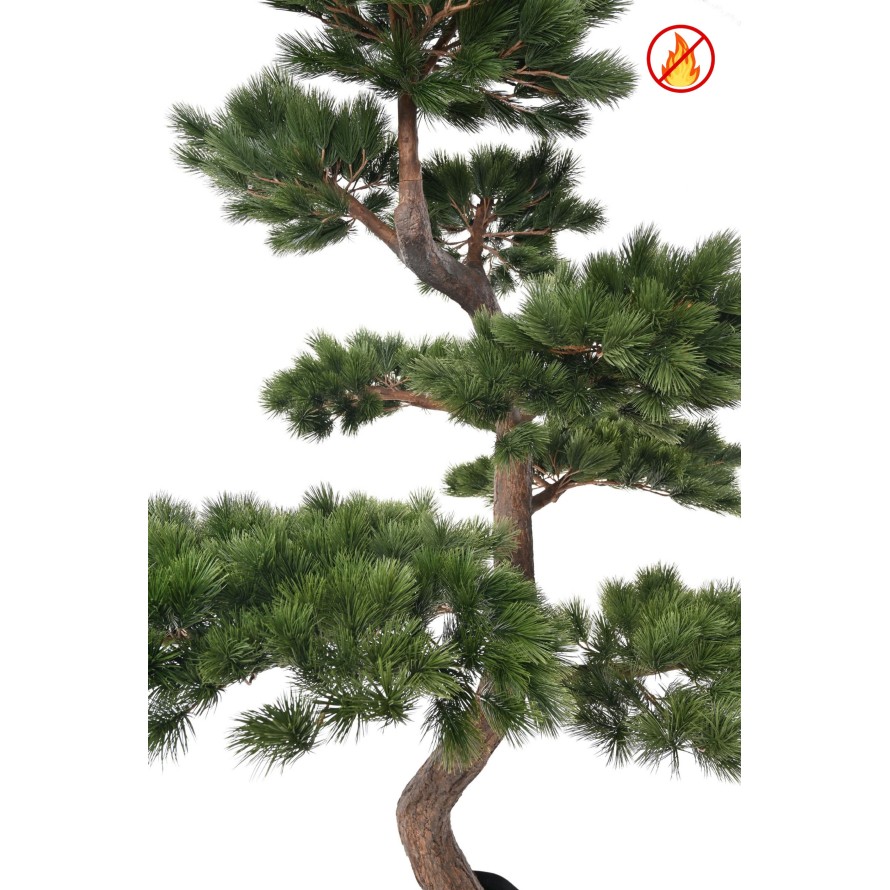 PINE SCOTS 250 FR – Fire Resistant