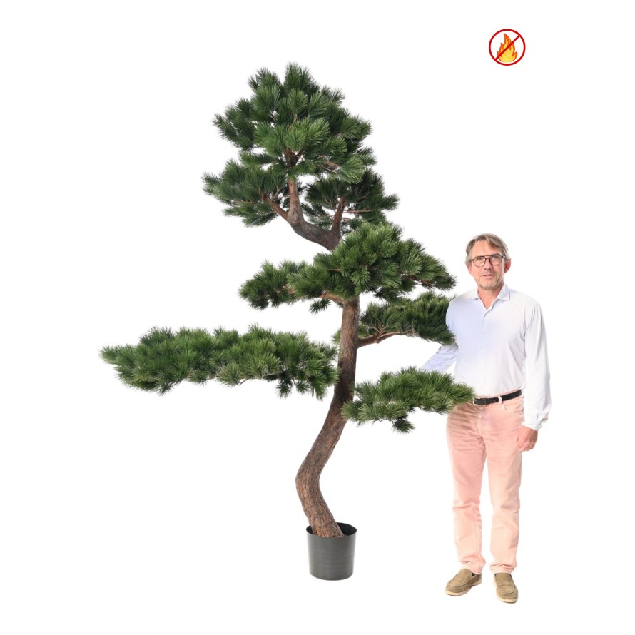 PIN SYLVESTRE 250 FR - Fire Resistant