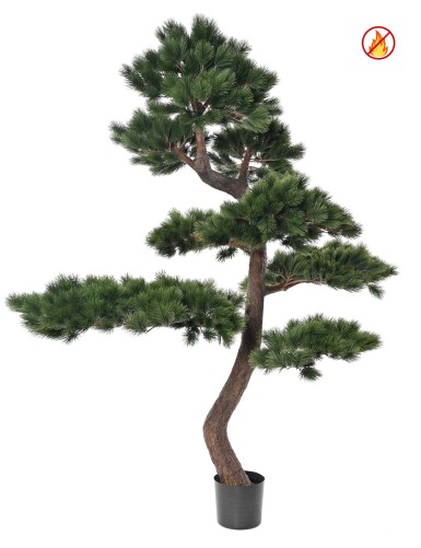 PINE SCOTS 250 FR – Fire...