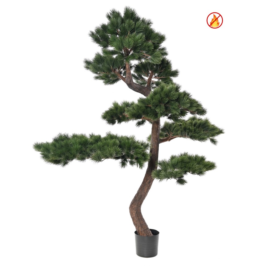 WALDKIEFER 250 FR – Flammhemmend
