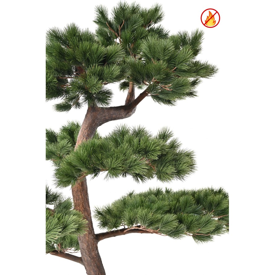 WALDKIEFER 250 FR – Flammhemmend