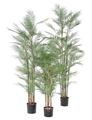 ARECA DIF 140