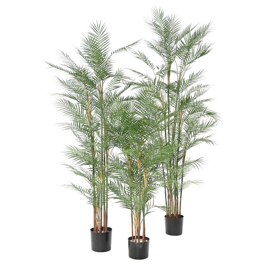 ARECA DIF 140