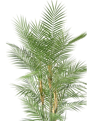 ARECA DIF 140