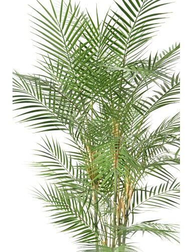 ARECA DIF 140
