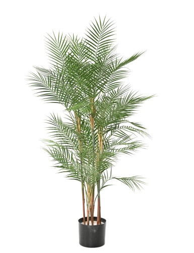 ARECA DIF 140