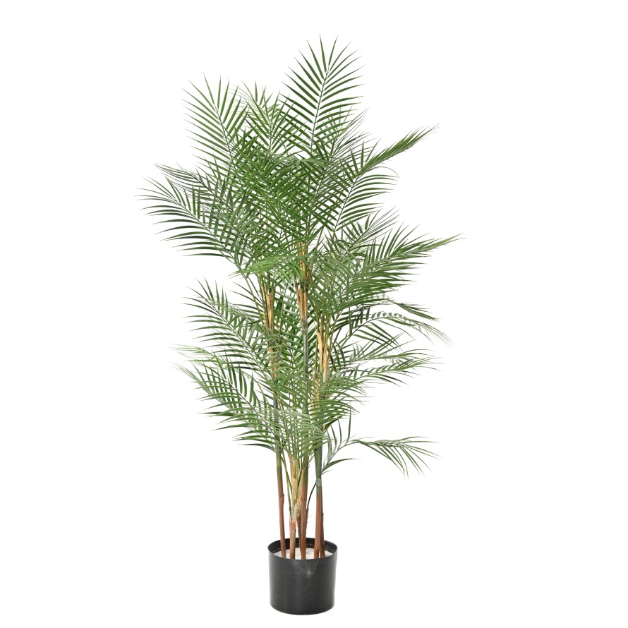 ARECA DIF 140