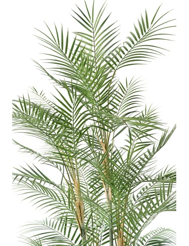 ARECA DIF 185