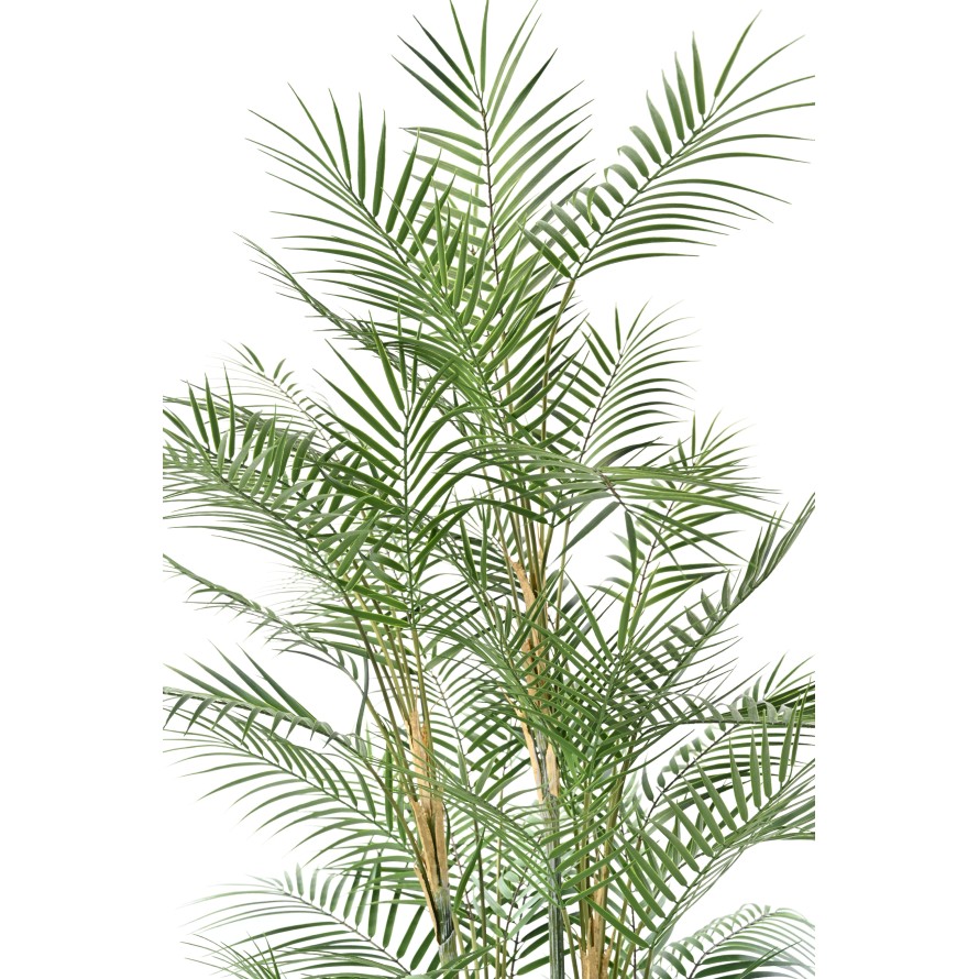 ARECA DIF 185