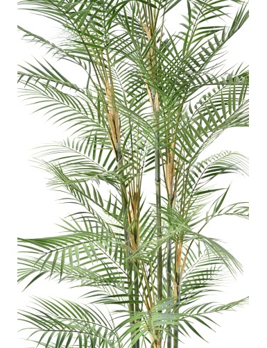 ARECA DIF 185