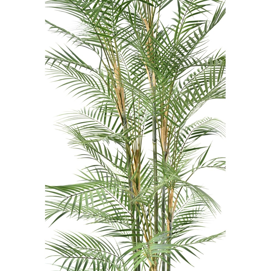 ARECA DIF 185
