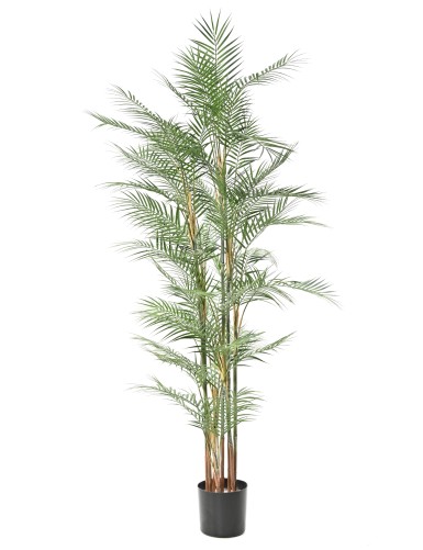 ARECA DIF 185
