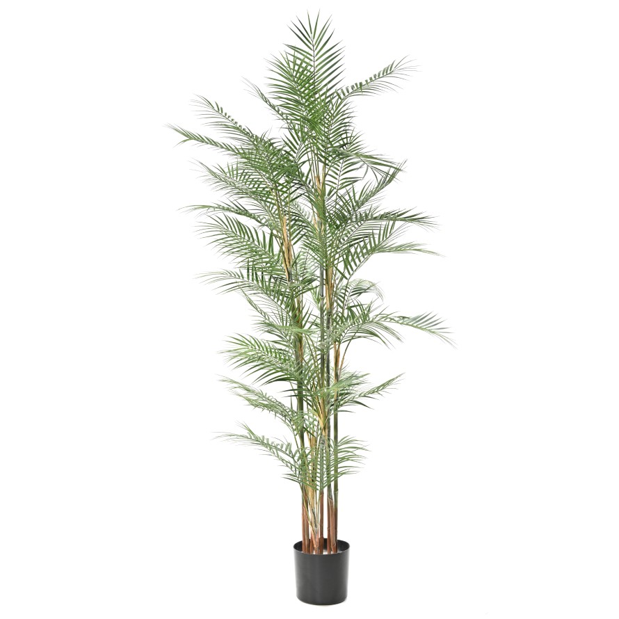 ARECA DIF 185