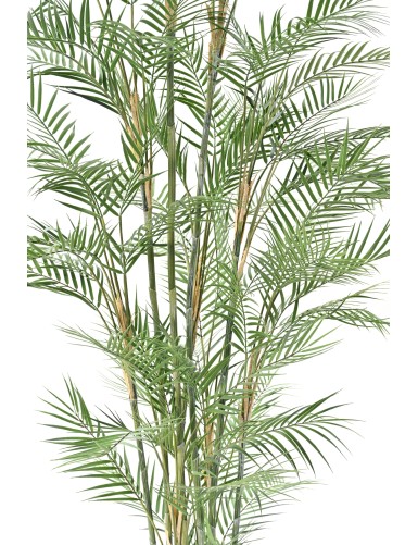 ARECA DIF 210