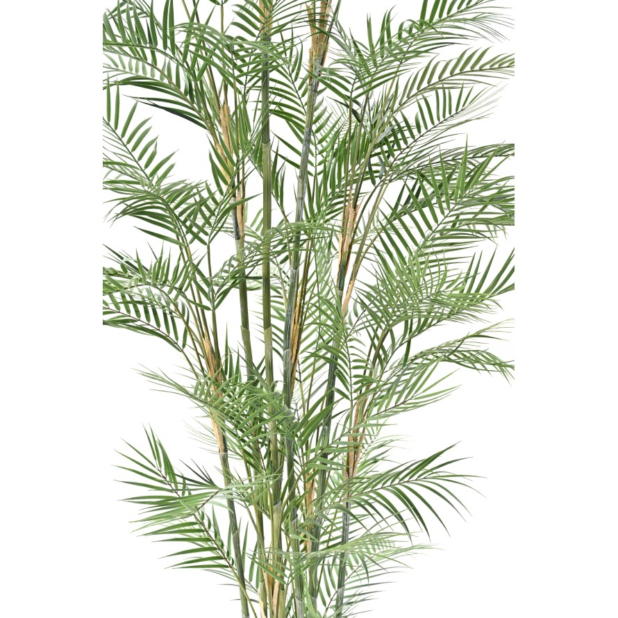ARECA DIF 210