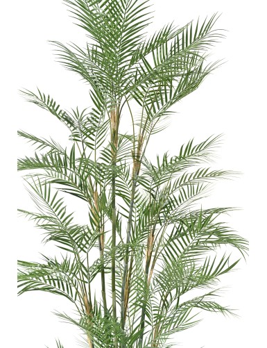 ARECA DIF 210