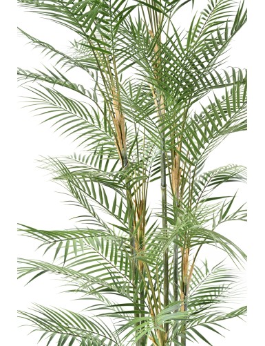 ARECA DIF 210