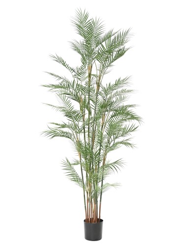 ARECA DIF 210