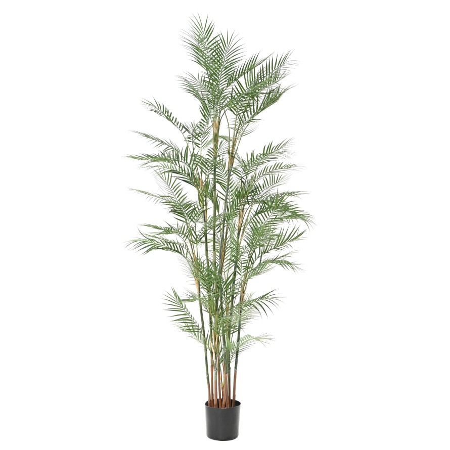 ARECA DIF 210
