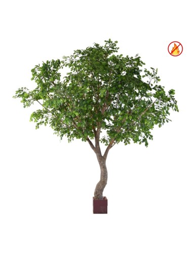 OAK S TREE 360 FR – Fire...