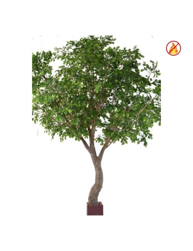 ROBLE S ÁRBOL 360 FR - Resistente al Fuego