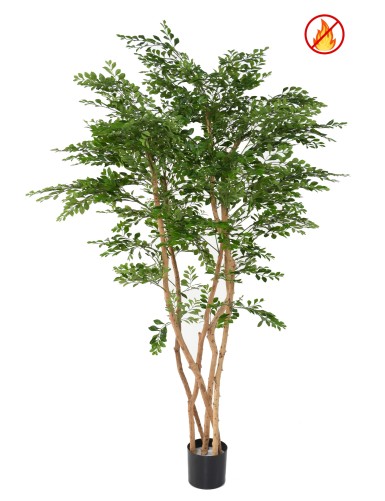 ACACIA 180 FR – Resistente...