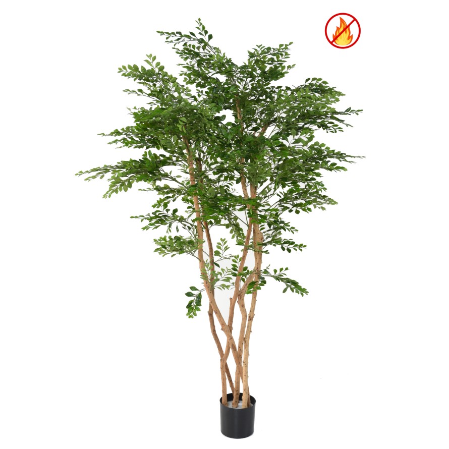 ACACIA 180 FR – Resistente al Fuego
