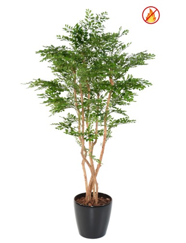 ACACIA 180 FR – Resistente al Fuego