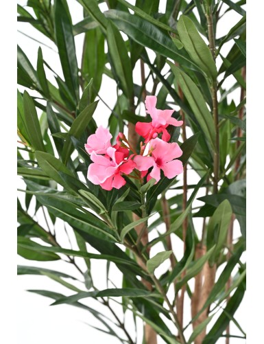 LAUREL FLOWER