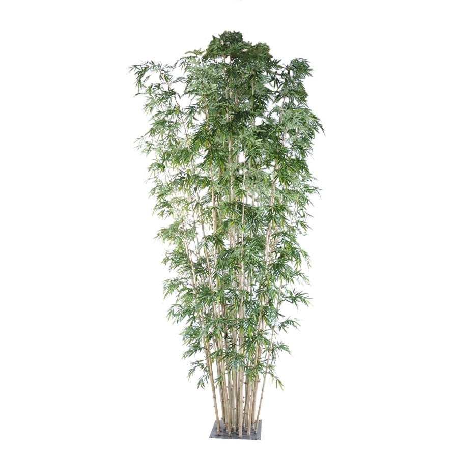 BAMBÚ NEW GIGANTE LUXE