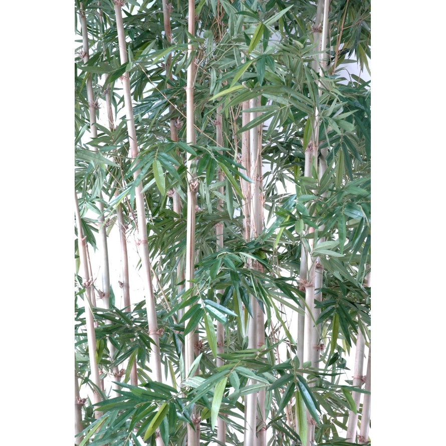 BAMBOO NEW GIANT LUXURY