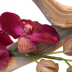Exotiques & orchidées artificielles