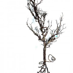 Decorative branches