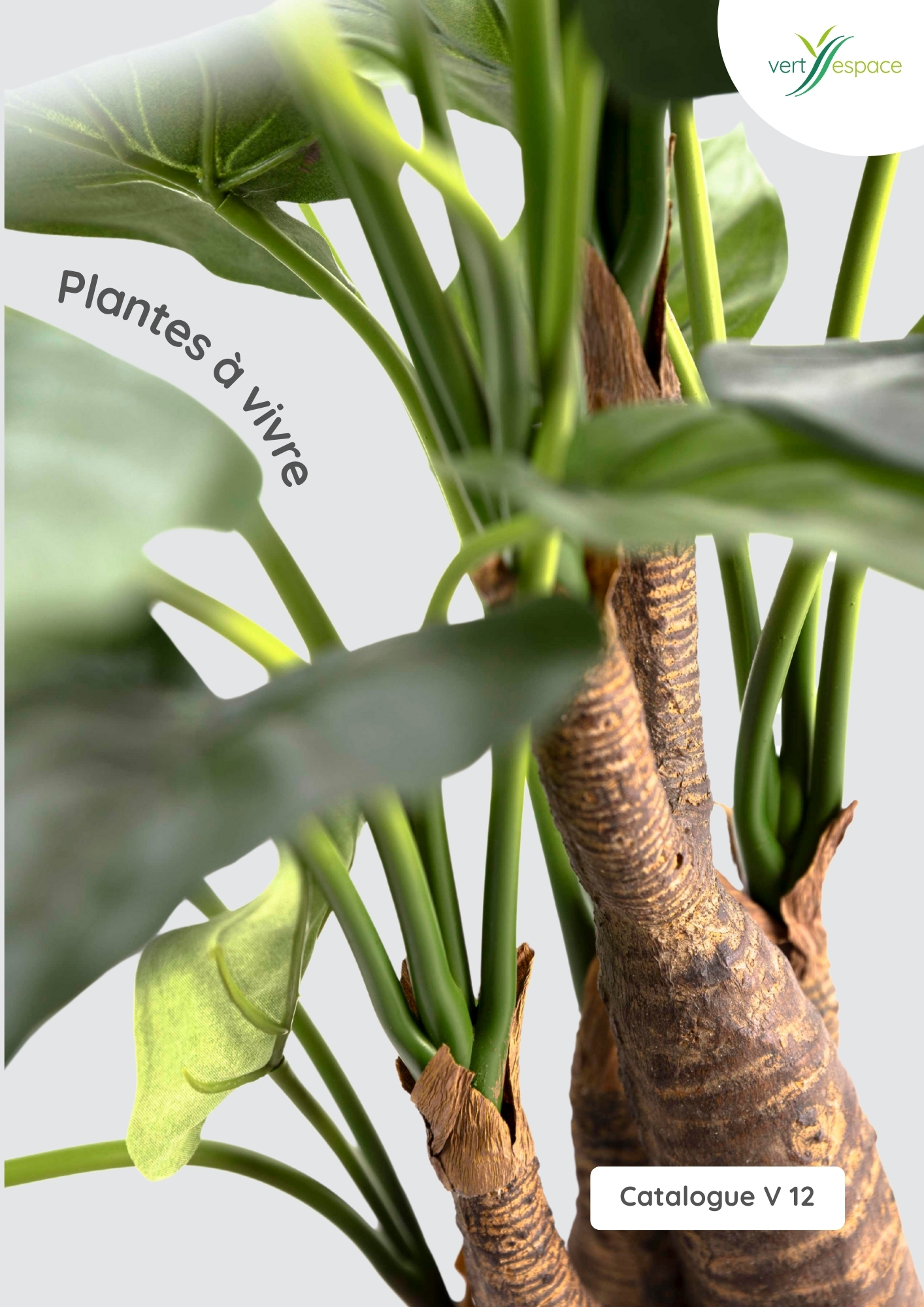 Noticias de Vert Espace