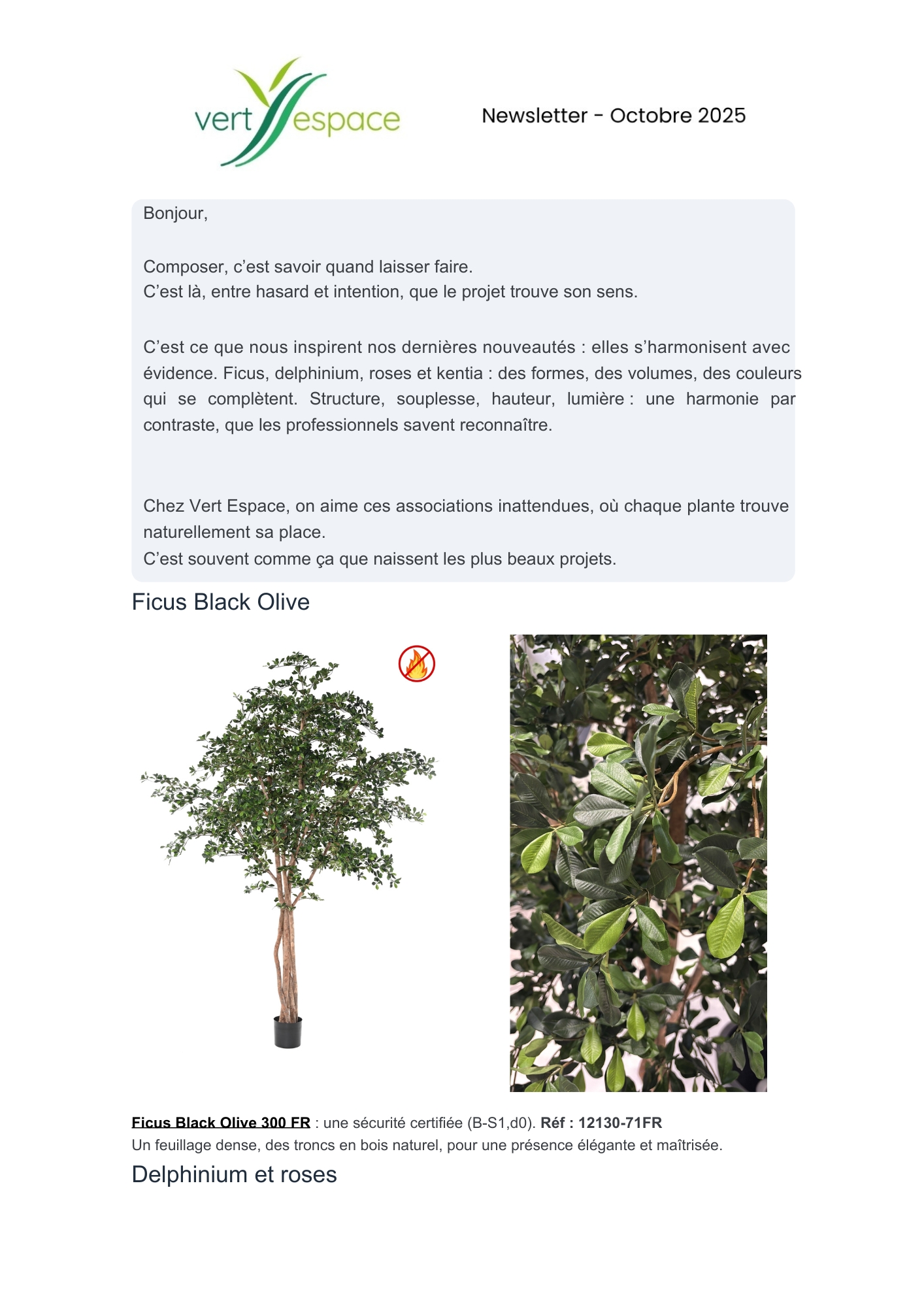 Vert Espace newsletters