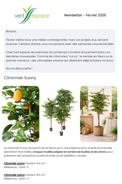 Los boletines informativos de VERT ESPACE