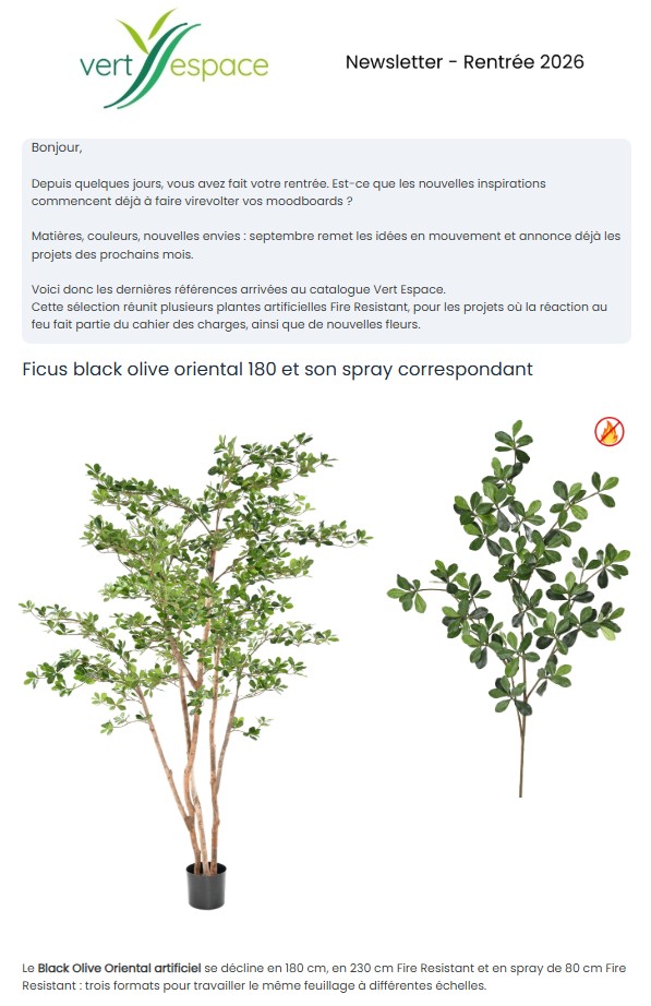 Vert Espace newsletters